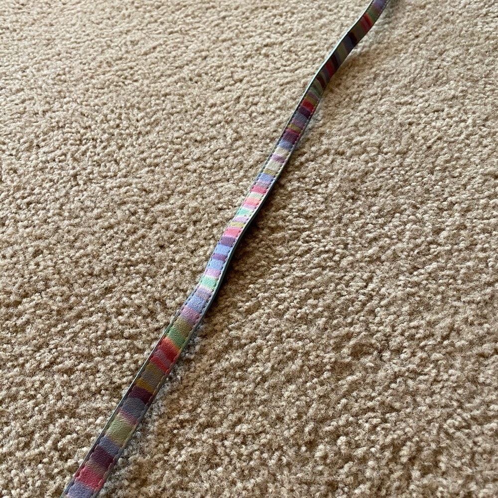 Multicolor leather belt